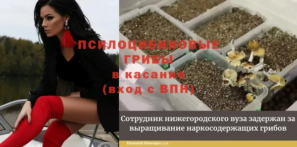 экстази Богородск