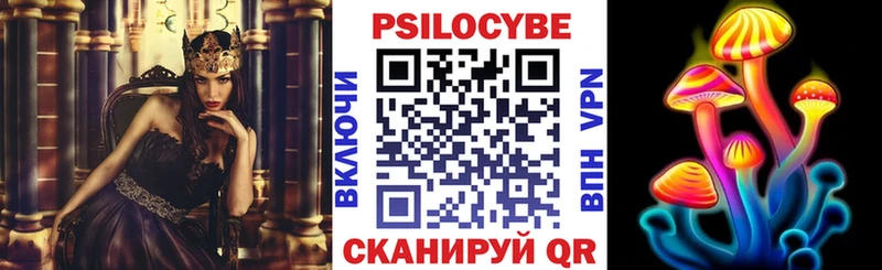 Псилоцибиновые грибы Psilocybine cubensis  blacksprut ссылки  Тула  цена  